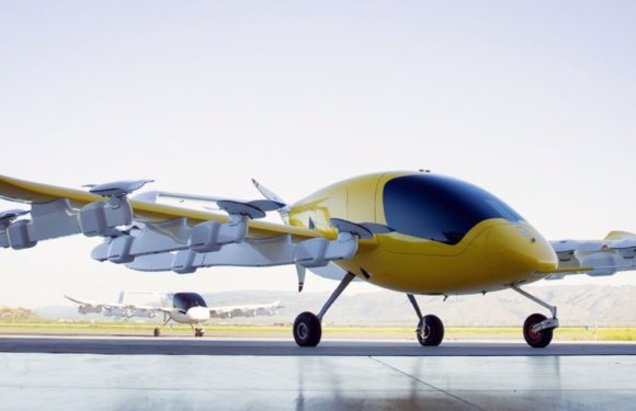 New Zealand to have self flying air taxis