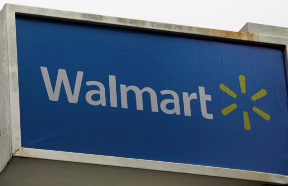 India’s top e-commerce start-ups could be helped by Walmart to compete with Amazon