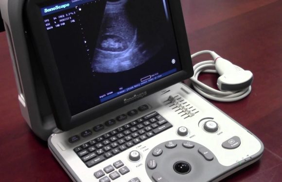 Increasing awareness about the benefits of portable ultrasound devices is driving the growth of the Portable Ultrasound Devices Market.