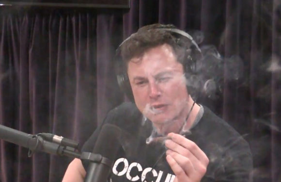 Elon Musk smokes marijuana live during a web podcast