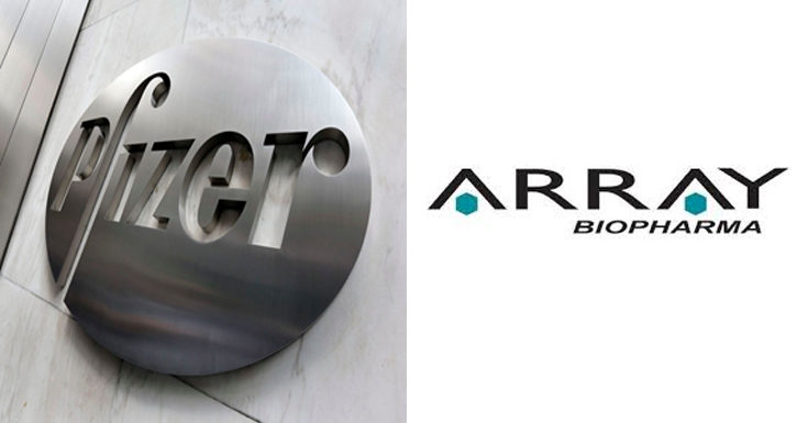 Pfizer set to acquire Array Biopharma for $10.64 billion